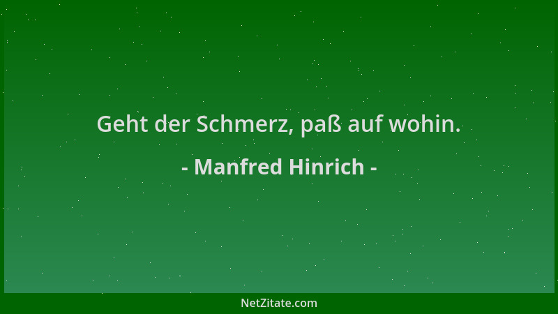 Manfred Hinrich - Geht der Schmerz, paß auf wohin....