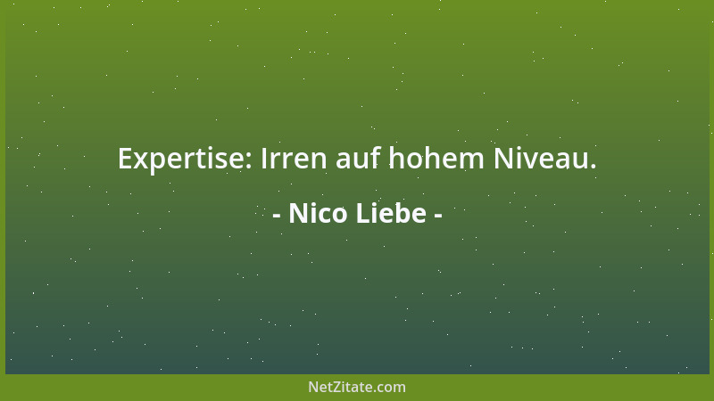 Nico Liebe - Zu viele Leute sind noch am Leben - statt mittendrin....