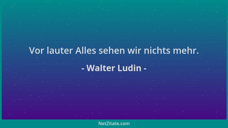 Walter Ludin - Vor lauter Alles sehen wir nichts mehr....
