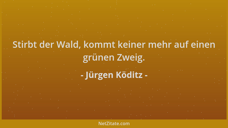 Jürgen Köditz - Stirbt der Wald, kommt keiner mehr auf einen grünen Zweig....