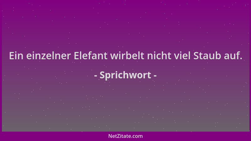 Sprichwort - Ein einzelner Elefant wirbelt nicht viel Staub auf....