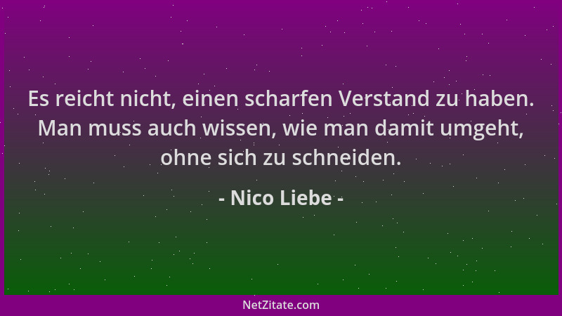 Nico Liebe - Es reicht nicht, einen scharfen Verstand zu haben. Man muss auch wissen, wie man damit umgeht, ohne sich zu sc...