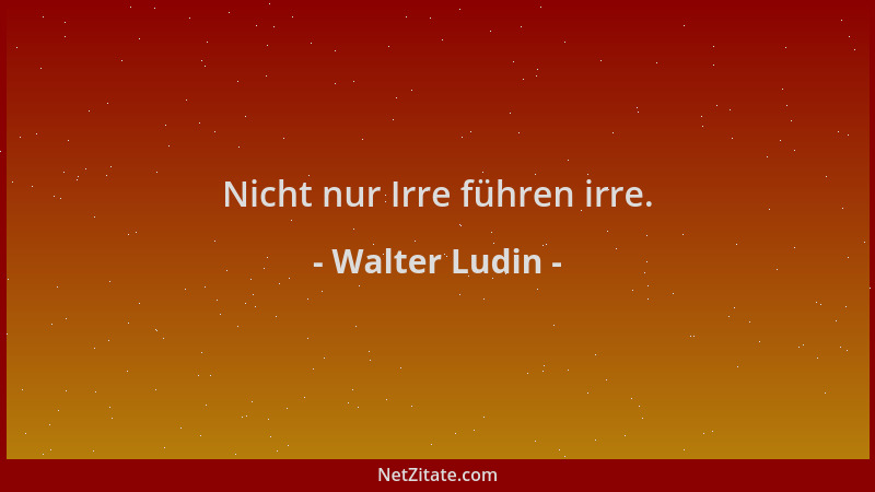 Walter Ludin - Nicht nur Irre führen irre....