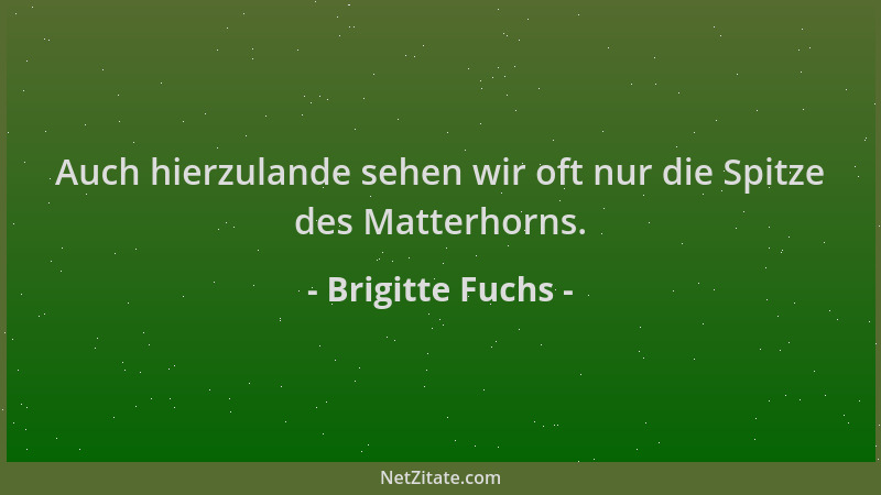 Brigitte Fuchs - Auch hierzulande sehen wir oft nur die Spitze des Matterhorns....