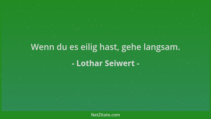 Lothar Seiwert - Wenn du es eilig hast, gehe langsam....