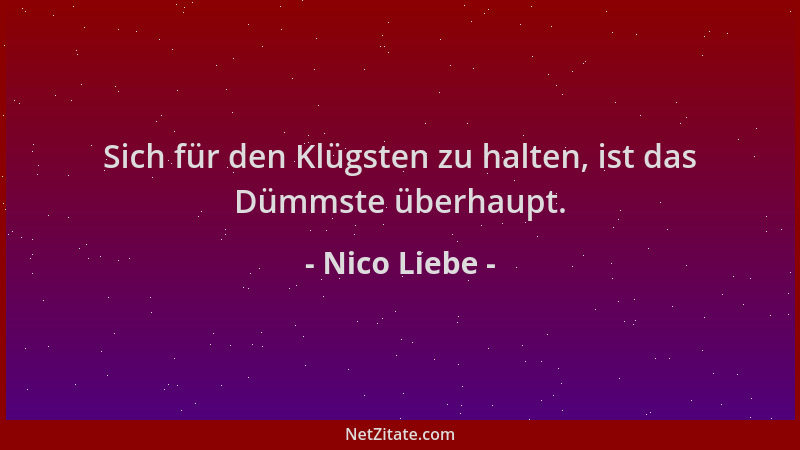 Nico Liebe - Sich für den Klügsten zu halten, ist das Dümmste überhaupt....
