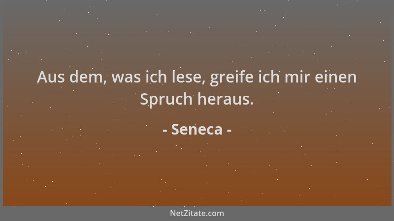 Seneca - Aus dem, was ich lese, greife ich mir einen Spruch heraus....