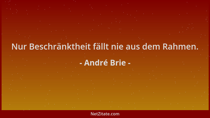 André Brie - Nur Beschränktheit fällt nie aus dem Rahmen....