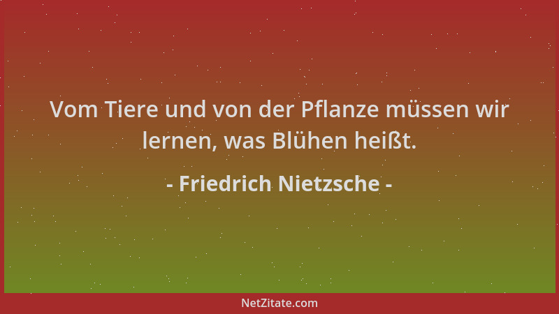 Friedrich Nietzsche - Vom Tiere und von der Pflanze müssen wir lernen, was Blühen heißt....