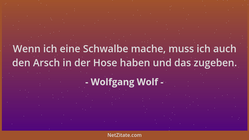 Wolfgang Wolf - Wenn ich eine Schwalbe mache, muss ich auch den Arsch in der Hose haben und das zugeben....