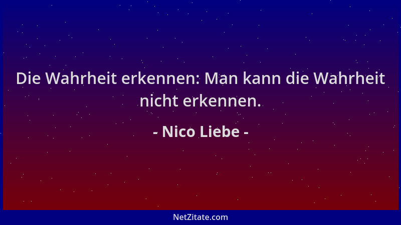 Nico Liebe - Die Wahrheit erkennen: Man kann die Wahrheit nicht erkennen....