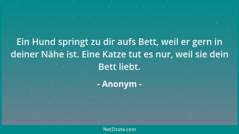 Anonym - Ein Hund springt zu dir aufs Bett, weil er gern in deiner Nähe ist. Eine Katze tut es nur, weil sie dein Bett lieb...