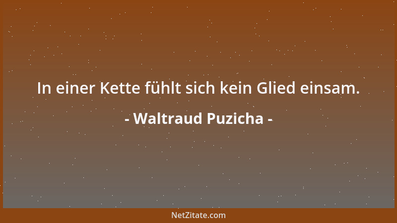 Waltraud Puzicha - In einer Kette fühlt sich kein Glied einsam....