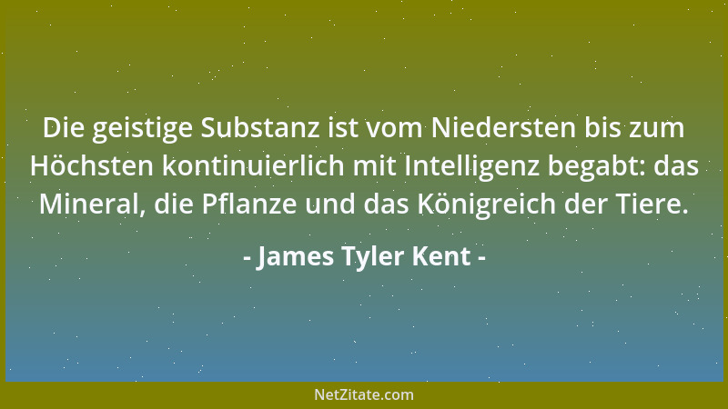 James Tyler Kent - Die geistige Substanz ist vom Niedersten bis zum Höchsten kontinuierlich mit Intelligenz begabt: das Min...