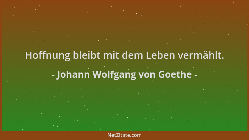 Johann Wolfgang von Goethe - Hoffnung bleibt mit dem Leben vermählt....