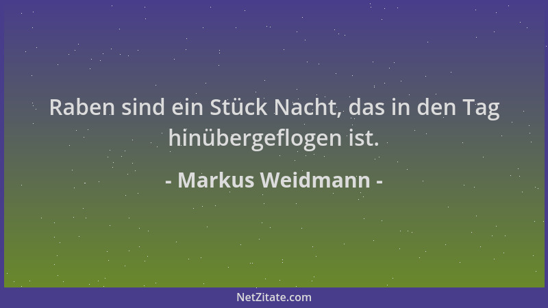 Markus Weidmann - Raben sind ein Stück Nacht, das in den Tag hinübergeflogen ist....
