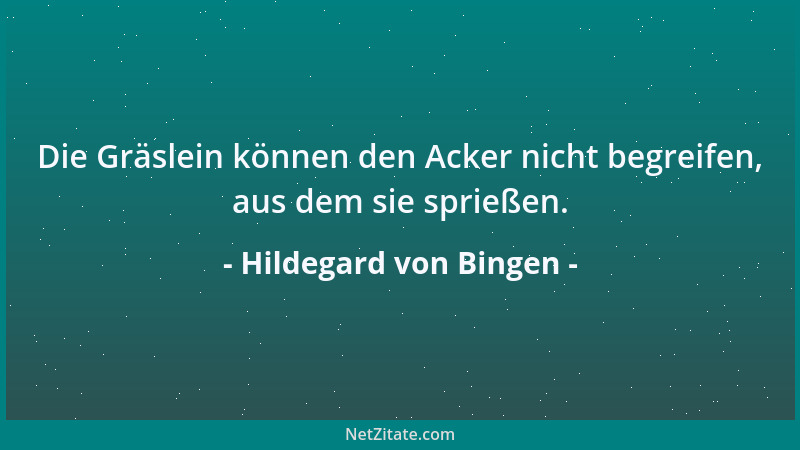 Hildegard von Bingen - Die Gräslein können den Acker nicht begreifen, aus dem sie sprießen....