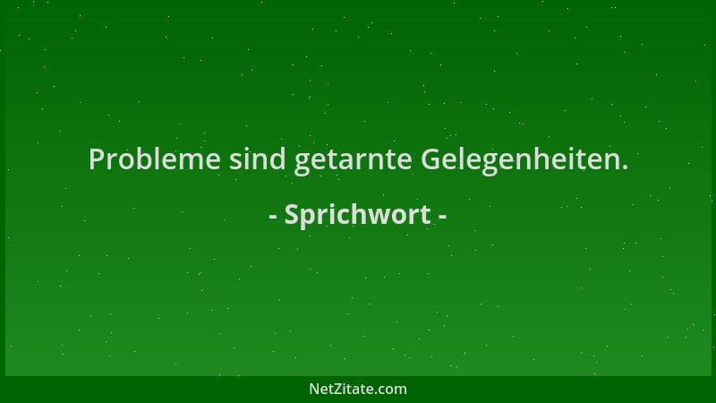 Sprichwort - Probleme sind getarnte Gelegenheiten....