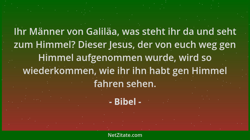 Bibel - Ihr Männer von Galiläa, was steht ihr da und seht zum Himmel? Dieser Jesus, der von euch weg gen Himmel aufgenommen...