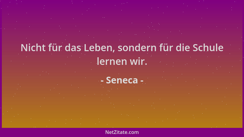 Seneca - Nicht für das Leben, sondern für die Schule lernen wir....