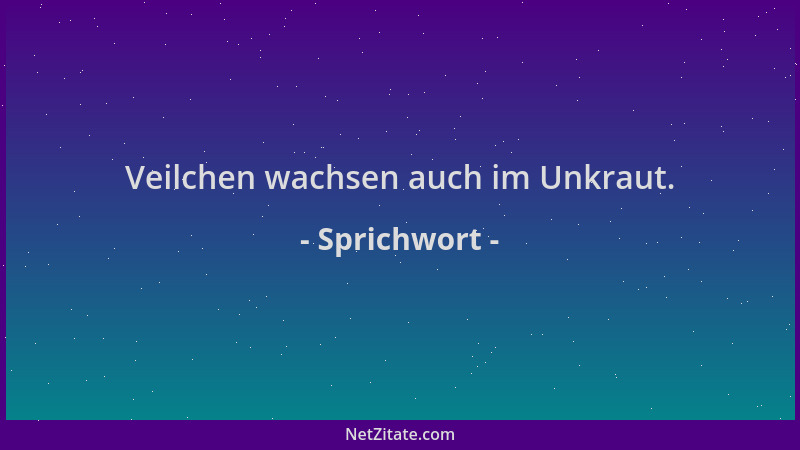 Sprichwort - Veilchen wachsen auch im Unkraut....