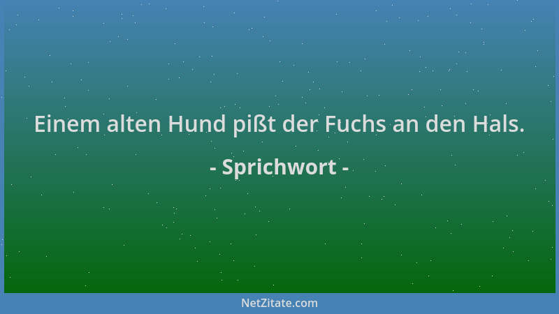 Sprichwort - Einem alten Hund pißt der Fuchs an den Hals....