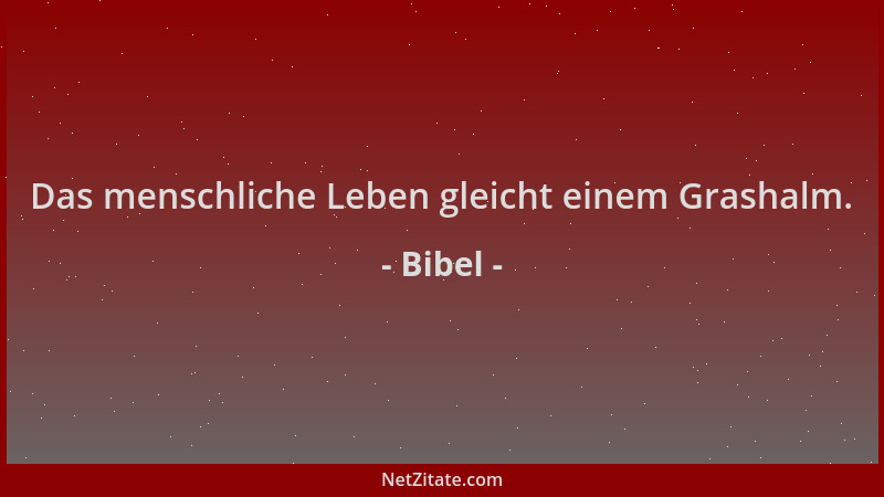 Bibel - Das menschliche Leben gleicht einem Grashalm....