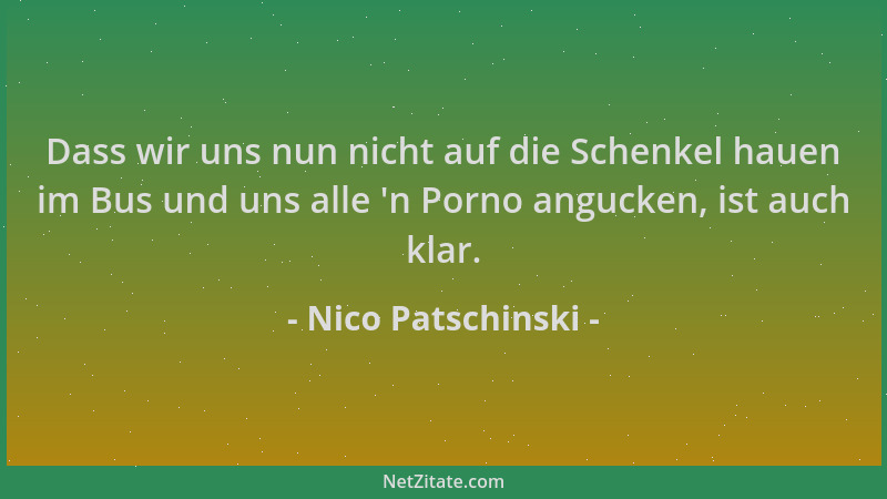 Nico Patschinski - Dass wir uns nun nicht auf die Schenkel hauen im Bus und uns alle  'n Porno angucken, ist auch klar....