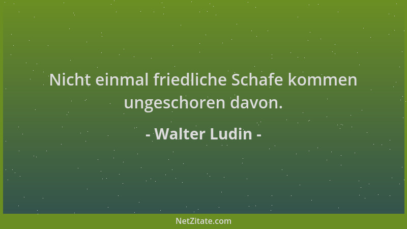 Walter Ludin - Nicht einmal friedliche Schafe kommen ungeschoren davon....