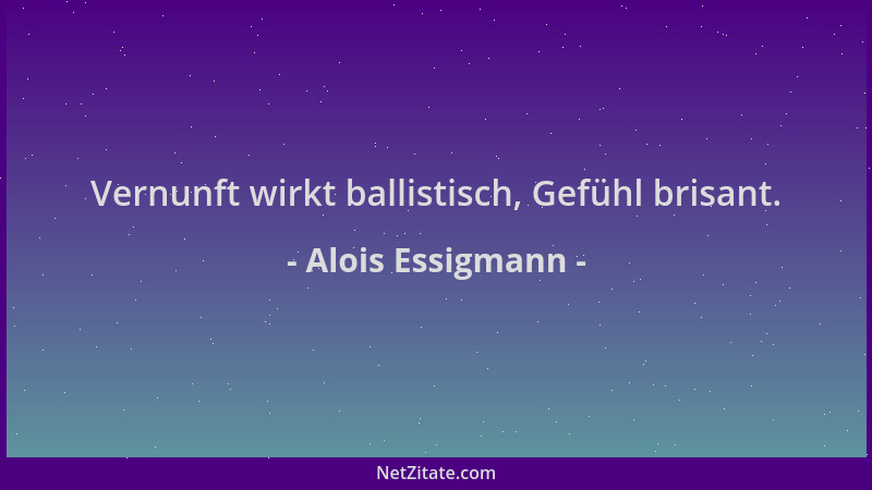 Alois Essigmann - Vernunft wirkt ballistisch, Gefühl brisant....