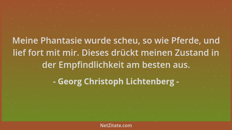 Georg Christoph Lichtenberg - Meine Phantasie wurde scheu, so wie Pferde, und lief fort mit mir. Dieses drückt meinen Zusta...