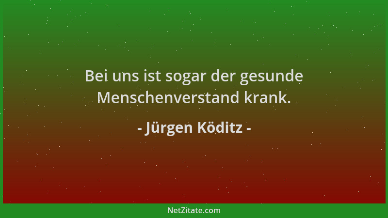 Jürgen Köditz - Bei uns ist sogar der gesunde Menschenverstand krank....