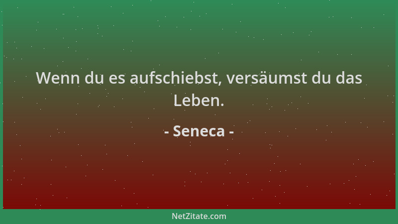 Seneca - Wenn du es aufschiebst, versäumst du das Leben....