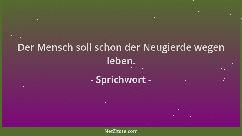 Sprichwort - Der Mensch soll schon der Neugierde wegen leben....