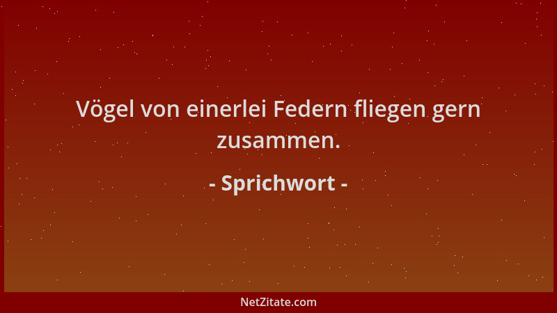 Sprichwort - Vögel von einerlei Federn fliegen gern zusammen....