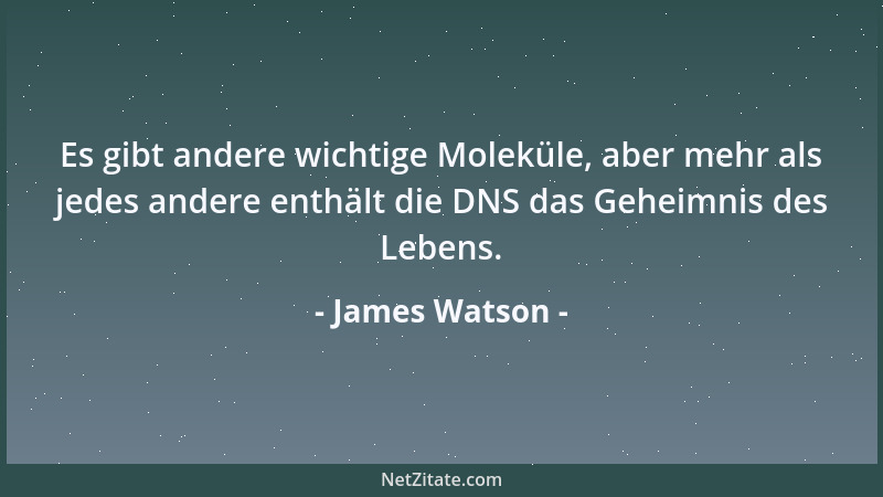 James Watson - Es gibt andere wichtige Moleküle, aber mehr als jedes andere enthält die DNS das Geheimnis des Lebens....