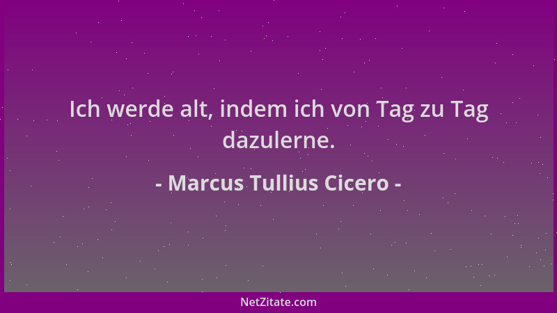 Marcus Tullius Cicero - Ich werde alt, indem ich von Tag zu Tag dazulerne....