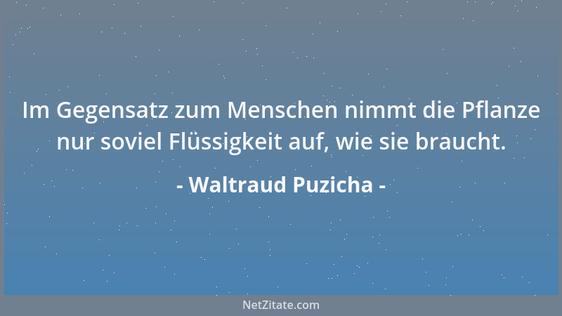 Waltraud Puzicha - Im Gegensatz zum Menschen nimmt die Pflanze nur soviel Flüssigkeit auf, wie sie braucht....