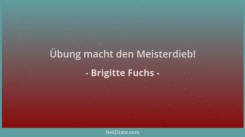 Brigitte Fuchs - Übung macht den Meisterdieb!...
