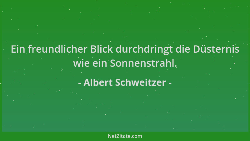 Albert Schweitzer - Ein freundlicher Blick durchdringt die Düsternis wie ein Sonnenstrahl....