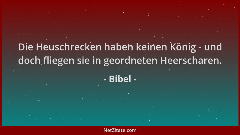 Bibel - Die Heuschrecken haben keinen König - und doch fliegen sie in geordneten Heerscharen....