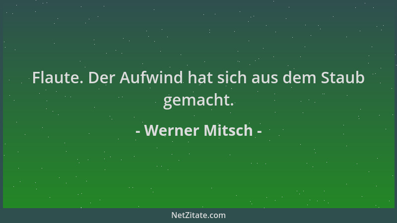 Werner Mitsch - Flaute. Der Aufwind hat sich aus dem Staub gemacht....