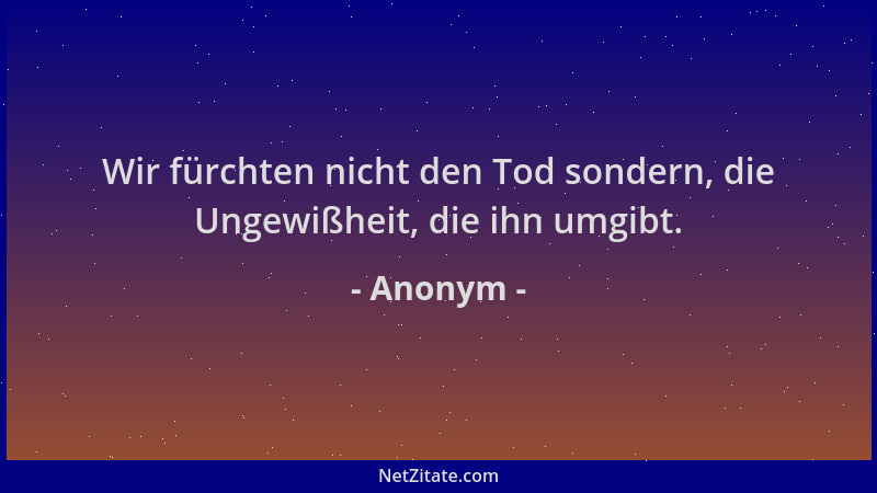Anonym - Wir fürchten nicht den Tod sondern, die Ungewißheit, die ihn umgibt....