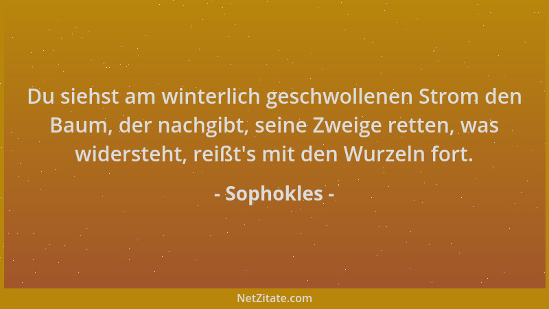 Sophokles - Du siehst am winterlich geschwollenen Strom den Baum, der nachgibt, seine Zweige retten, was widersteht, reißt '...