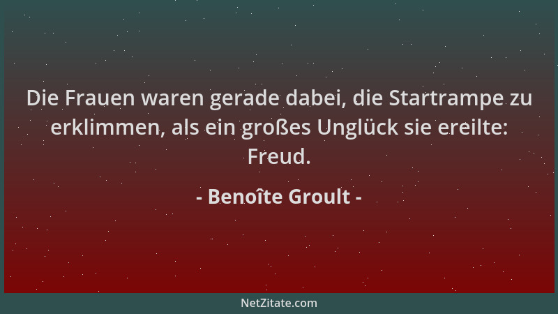 Benoîte Groult - Die Frauen waren gerade dabei, die Startrampe zu erklimmen, als ein großes Unglück sie ereilte: Freud....