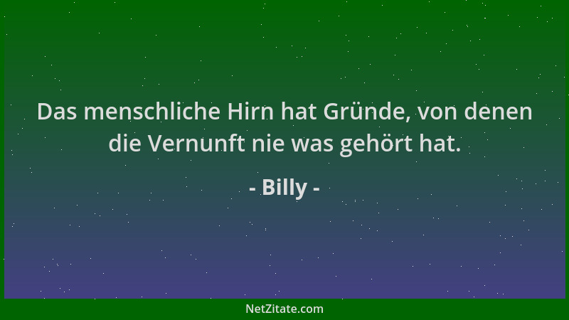 Billy - Das menschliche Hirn hat Gründe, von denen die Vernunft nie was gehört hat....