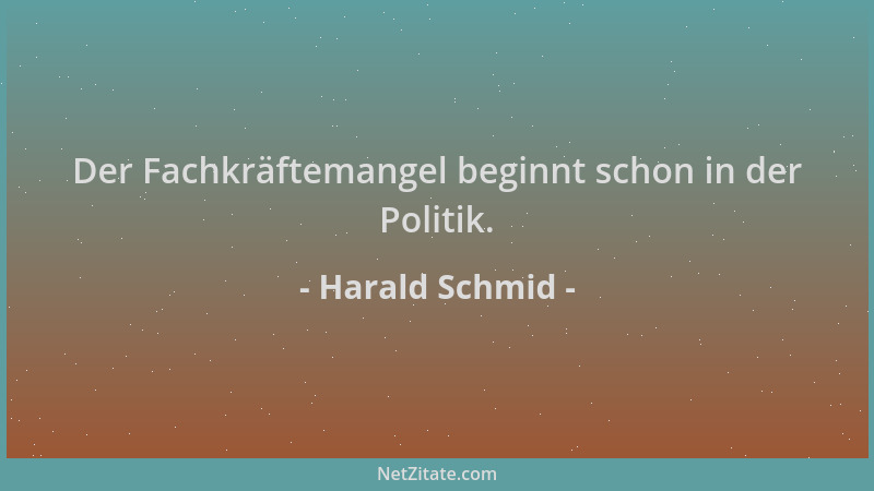 Harald Schmid - Der Fachkräftemangel beginnt schon in der Politik....