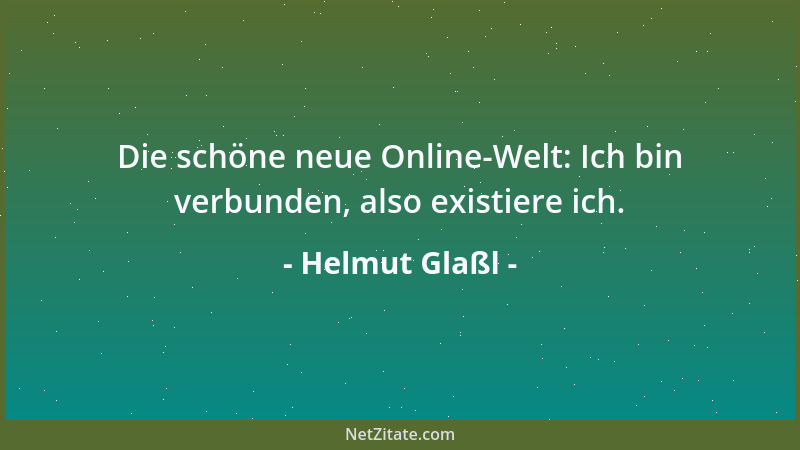 Helmut Glaßl - Die schöne neue Online-Welt: Ich bin verbunden, also existiere ich....