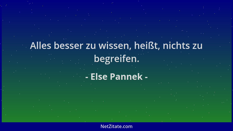 Else Pannek - Alles besser zu wissen, heißt, nichts zu begreifen....