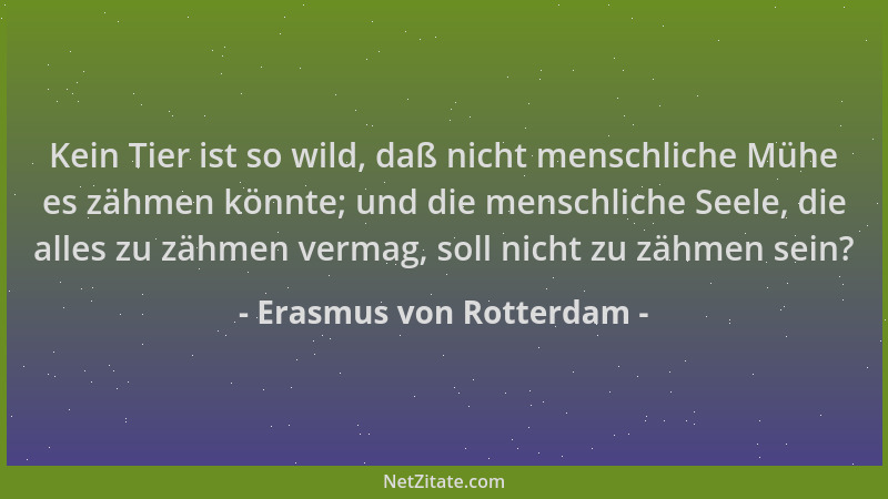 Erasmus von Rotterdam - Kein Tier ist so wild, daß nicht menschliche Mühe es zähmen könnte; und die menschliche Seele, die...